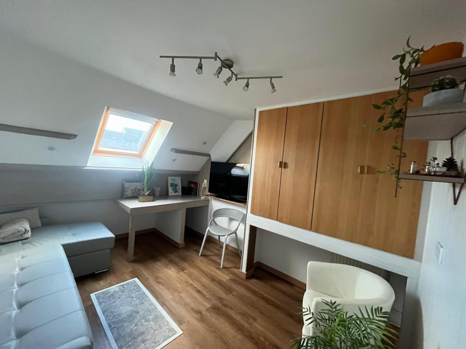 Appartement Type Loft Avec Terrasse Cherbourg-en-Cotentin Buitenkant foto