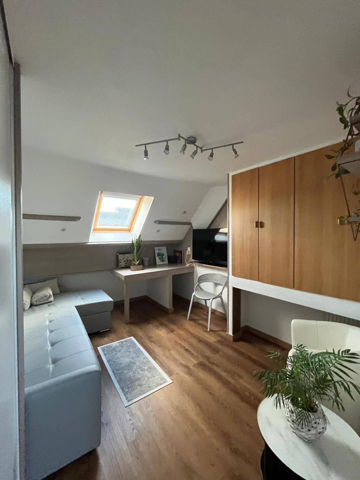 Appartement Type Loft Avec Terrasse Cherbourg-en-Cotentin Buitenkant foto